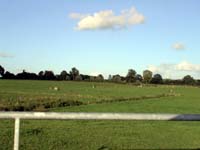 Probstei Countryside
